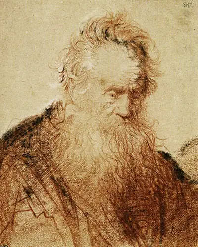 Bust of a Bearded Old Man Rembrandt